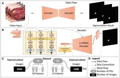 Frontiers A Novel Deep Learning Method To Segment Parathyroid Glands